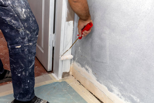 istock Painting Door 1433930064