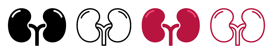 Set of human kidney vector icons. Silhouette with internal organs. Outline icons. Vector 10 EPS.