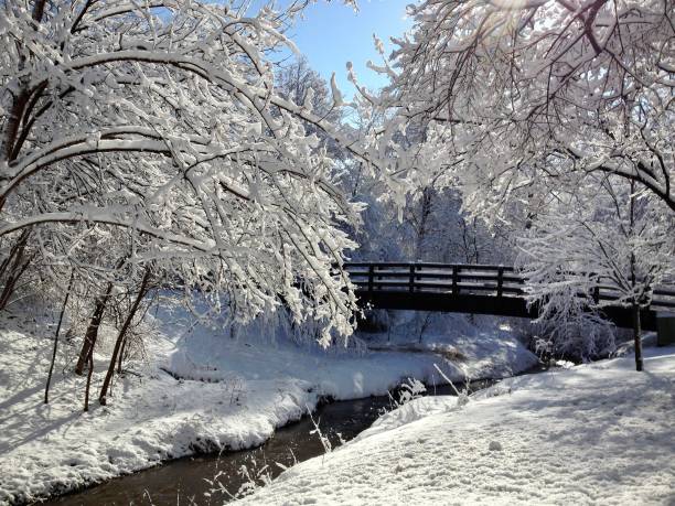 Winter wonderland