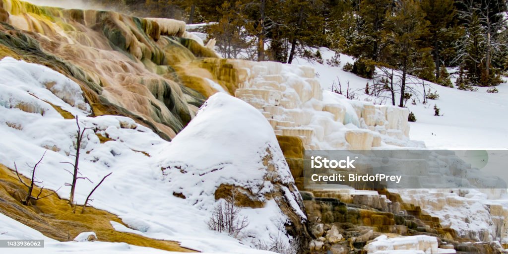 Mammoth Hot Springs in Winter Snow Mammoth Hot Springs Flowstone Hot Springs in the Winter Time Snow Mammoth Hot Springs Stock Photo