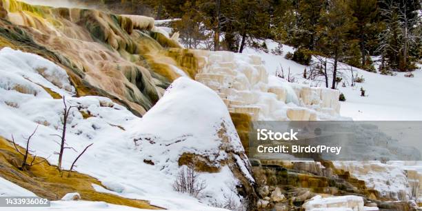 Mammoth Hot Springs In Winter Snow Stock Photo - Download Image Now - Mammoth Hot Springs, Winter, Color Image