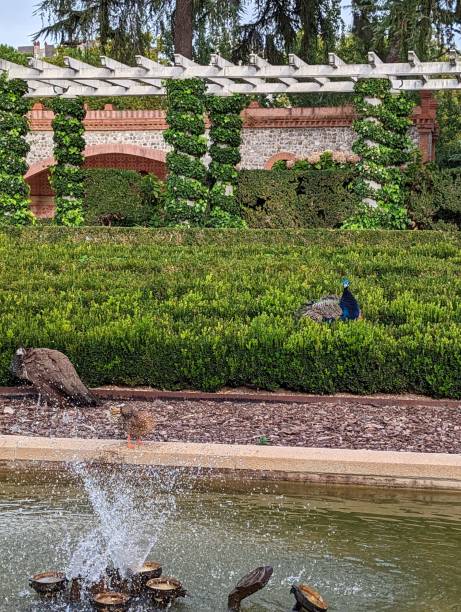istock Garden park El Retiro 1433937673