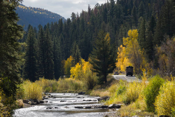 As vehicles drive highway 160 near South Fork, Colorado in the fall, yellow aspen and willow leaves color the pine forest along the Rio Grande River and the Rio Grande National Forest.