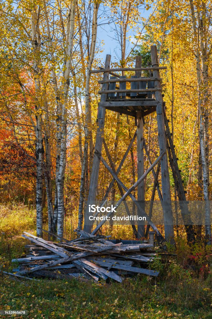 Autumn Landscape - Hunter's Post Surrounded by Birch Trees Autumn Stock Photo