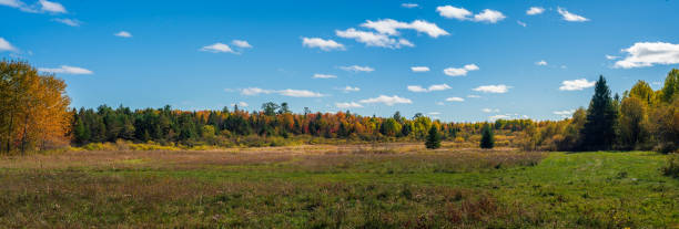 Autumn Landscape - Blue Skies with Colorful Trees stock photo