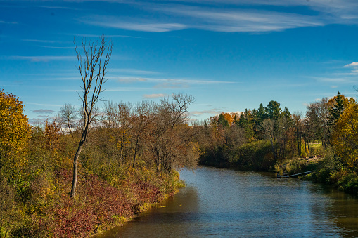 A scenic view of the Mississippi River during autumn.