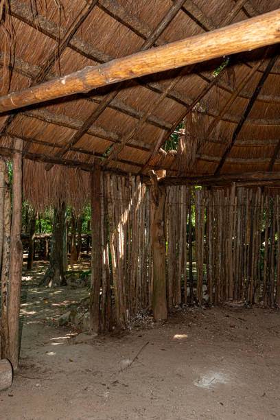 istock Traditional mayan hut in the mexican rainforest 1433946928