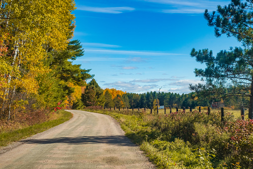 Autumn Landscape - Gravel Dirt-road with Colourful Trees and Blue Skies