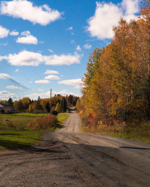 istock Autumn Landscape - Offroad Trail through Colourful Trees 1433948561