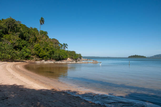 istock beautiful beach with lake coast in brazil 1433952757