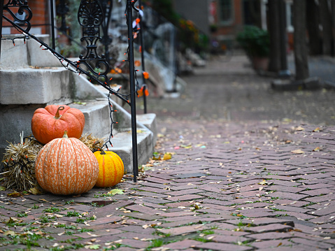 Philadelphia street with fall decorations with pumpkins