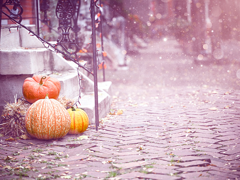 Pumpkin decor on the street