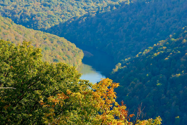 Autumn leaves can be seen in the foreground as the Cheat River flows through the Cheat River Canyon in the background as seen from a Coopers Rock State Forest overlook.