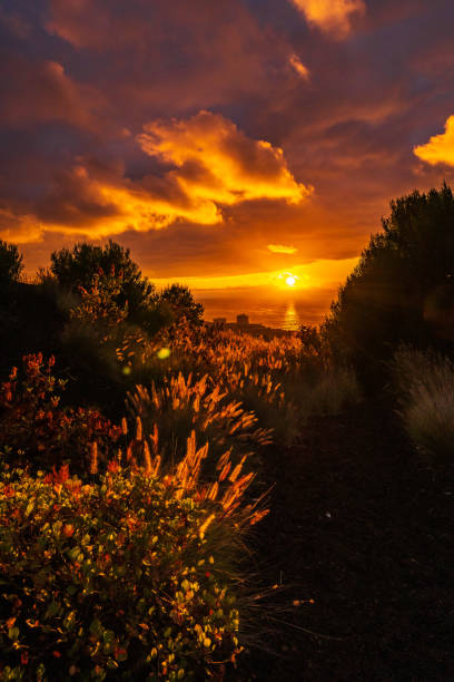 sunset in puerto de la cruz, tenerife island. - puerto de sol imagens e fotografias de stock