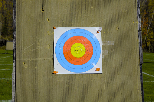 A woman places her hands on her hips as she looks up at a tall ladder that leans against the bull's-eye of a large target.