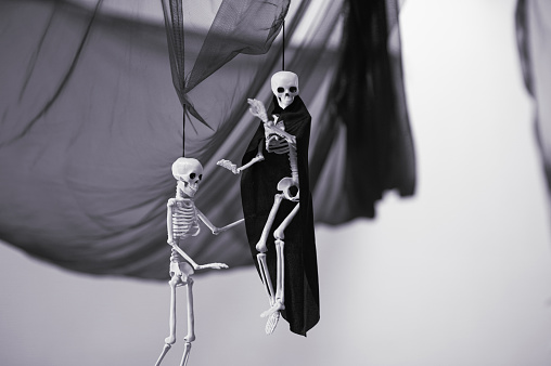 Black and whote photo for Halloween party decoration. Two horror skeletons hanging from the  cloth