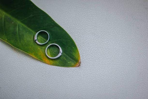 istock a pair of wedding rings on a leaf 1433971721