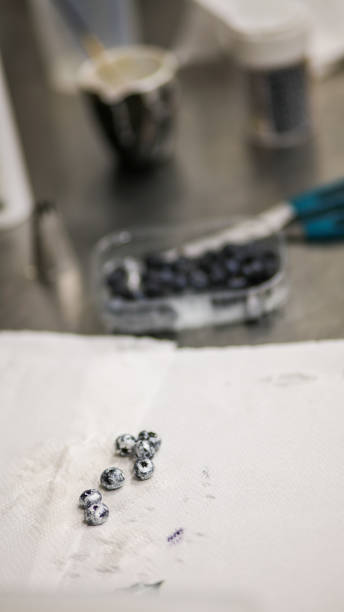 istock cake designer silver painting blueberries for sweet decoration 1433972592