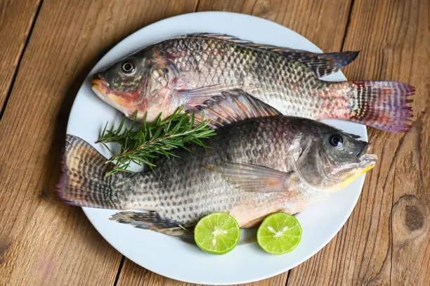 Photo of Tilapia with white plate with rosemary lemon lime on wooden background, Fresh raw tilapia fish from the tilapia farm