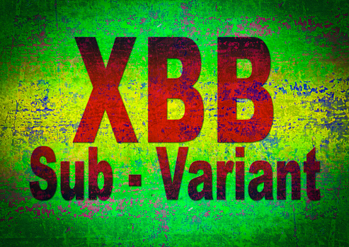 XBB Variant Covid-19