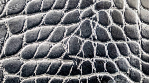 istock Handbag like black alligator skin imitation texture background 1434003297