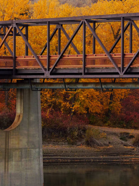 istock Autumn Colours Behind the Bridge 1434005308