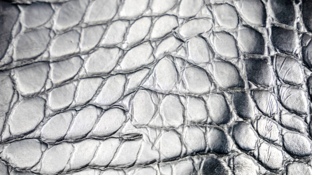 istock Handbag like black alligator skin imitation texture background 1434005599