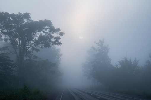 Fuzzy foggy rural landscape in autumn