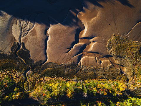 Aerial view of a vast river valley in the mountains overgrown with dense forest. Hunting and National Park and wildlife reserve