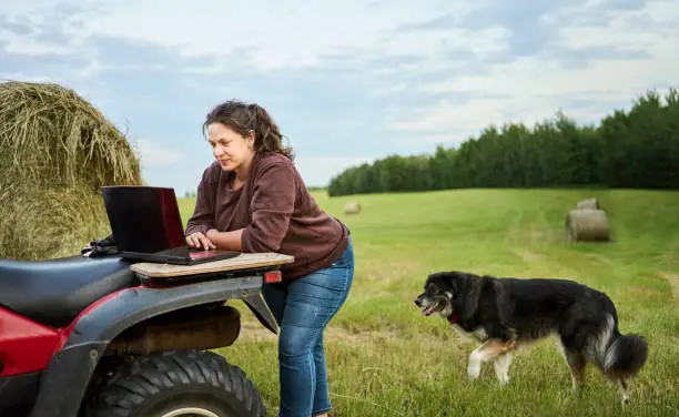 Woman using a laptop on quad bike while working on a farm with dog in background