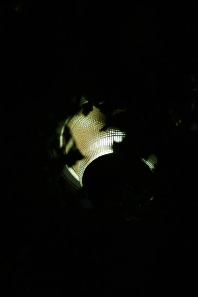 istock Street lights seen through the trees at night. 1434025528