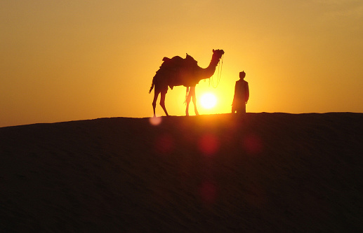 Encounter in the Thar desert in the Rajasthan region. A bedouin with his camel backlit by the setting sun.