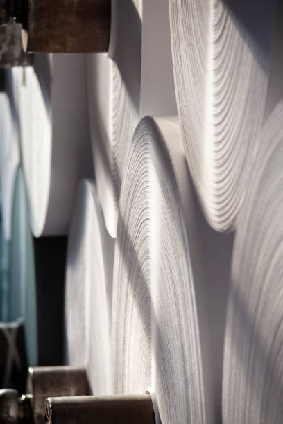 close up of paper, dollars roll