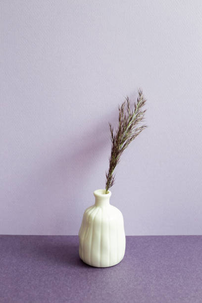 istock Vase of reed on table. purple background. home interior 1434041403
