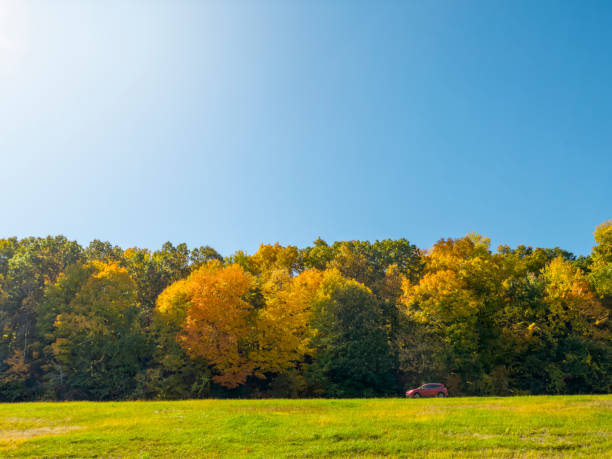 istock Road in upstate New York 1434042255