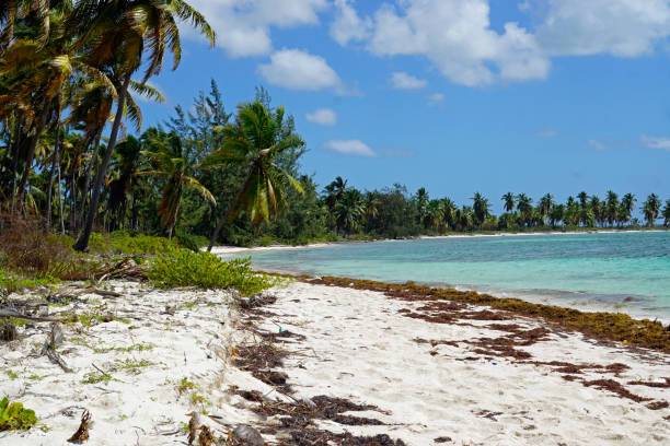 istock scenic landscape the dominican republic 1434044645