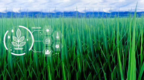 istock Agriculture technology farmer man using tablet Modern technology concept agriculture. 1434044911