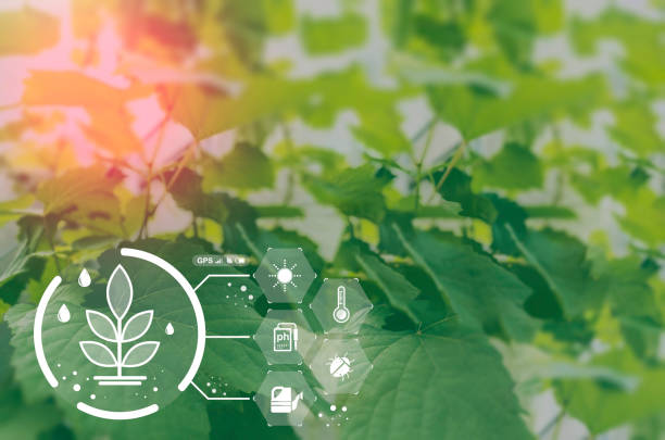 istock Agriculture technology farmer man using tablet Modern technology concept agriculture. 1434044994