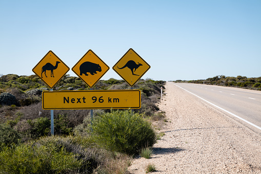 Wildlife Road sign, Nullabour