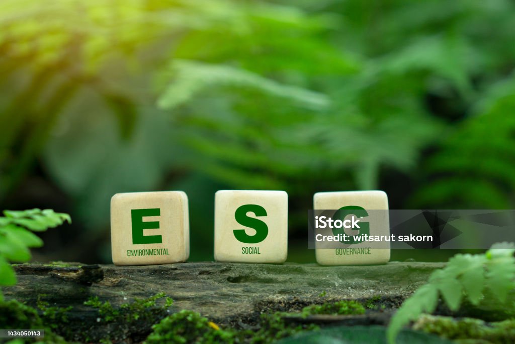 ESG concept ESG icon on a woodblock for environmental, social, and governance in sustainable and ethical business on the Network connection on a green background. Accidents and Disasters Stock Photo