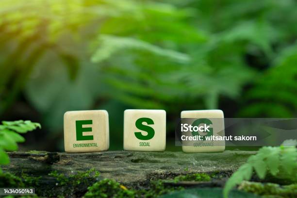 Esg Concept Esg Icon On A Woodblock For Environmental Social And Governance In Sustainable And Ethical Business On The Network Connection On A Green Background Stock Photo - Download Image Now