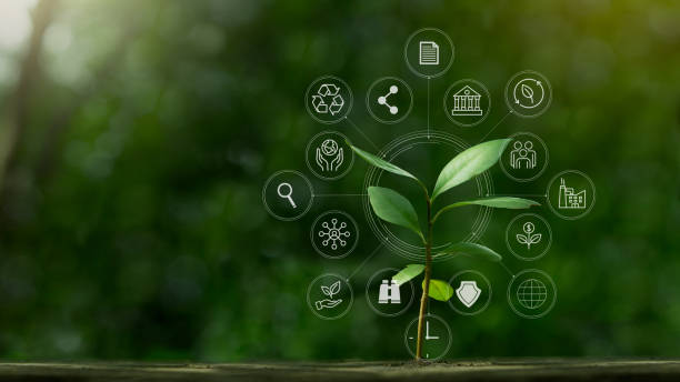esg-icon-konzept mit kleinem baum für umwelt, soziales und governance im nachhaltigen und ethischen wirtschaften auf der netzwerkanbindung auf grünem hintergrund. - klimaschutz stock-fotos und bilder
