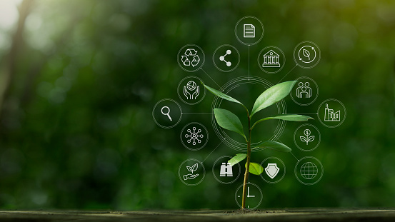 Concepto de icono ESG con un pequeño árbol para el medio ambiente, lo social y la gobernanza en negocios sostenibles y éticos en la conexión de red sobre un fondo verde. photo