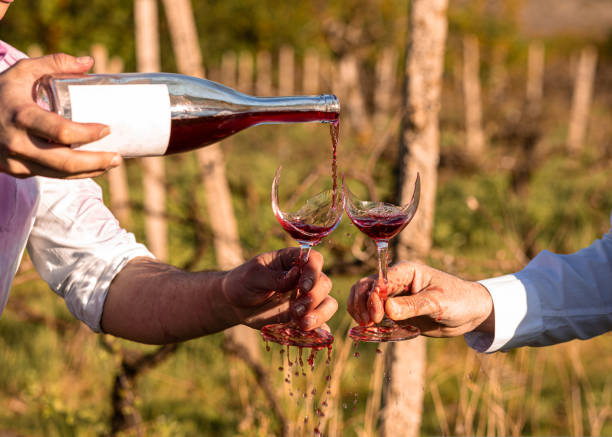 vista recortada de hombres caucásicos en viñedo verter vino rosado en copas fracturadas en un día soleado de otoño. - glass broken spilling drink fotografías e imágenes de stock