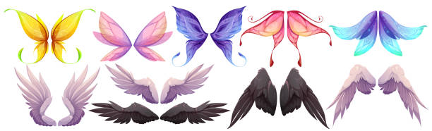 Different wings of fairy, butterfly, bird, angel Different wings of fairy, butterfly, bird, angel with black and white feathers. Vector cartoon set of wings pairs of magic and fantasy characters and animals isolated on white background fairy wings stock illustrations