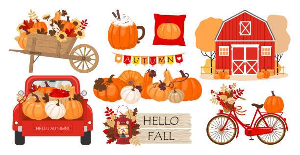 ilustrações de stock, clip art, desenhos animados e ícones de pumpkins autumn farm set - pumpkin patch