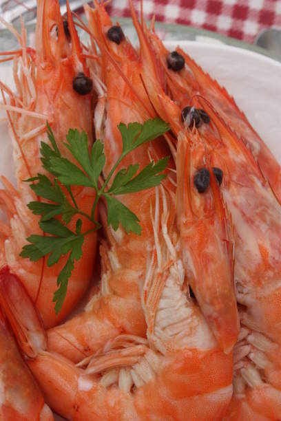istock Prawns cooked in water  Buffet meal 1434062108