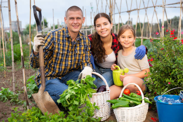 istock Family posing in garden with gathered vegetables 1434068420