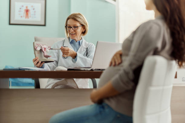 Happy gynecologist explaining ovary anatomy to her pregnant patient in the office. Happy female gynecologist explaining the anatomy of cervix to her pregnant patient during a visit in the office. fallopian tube stock pictures, royalty-free photos & images