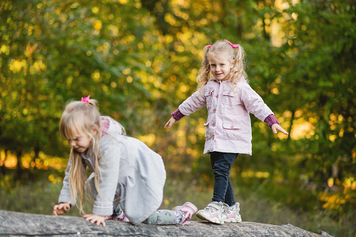 Two cute children climb, balance on a fallen log in an autumn park.